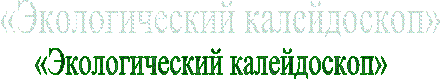 «Экологический калейдоскоп»